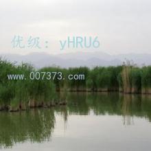 ǻ